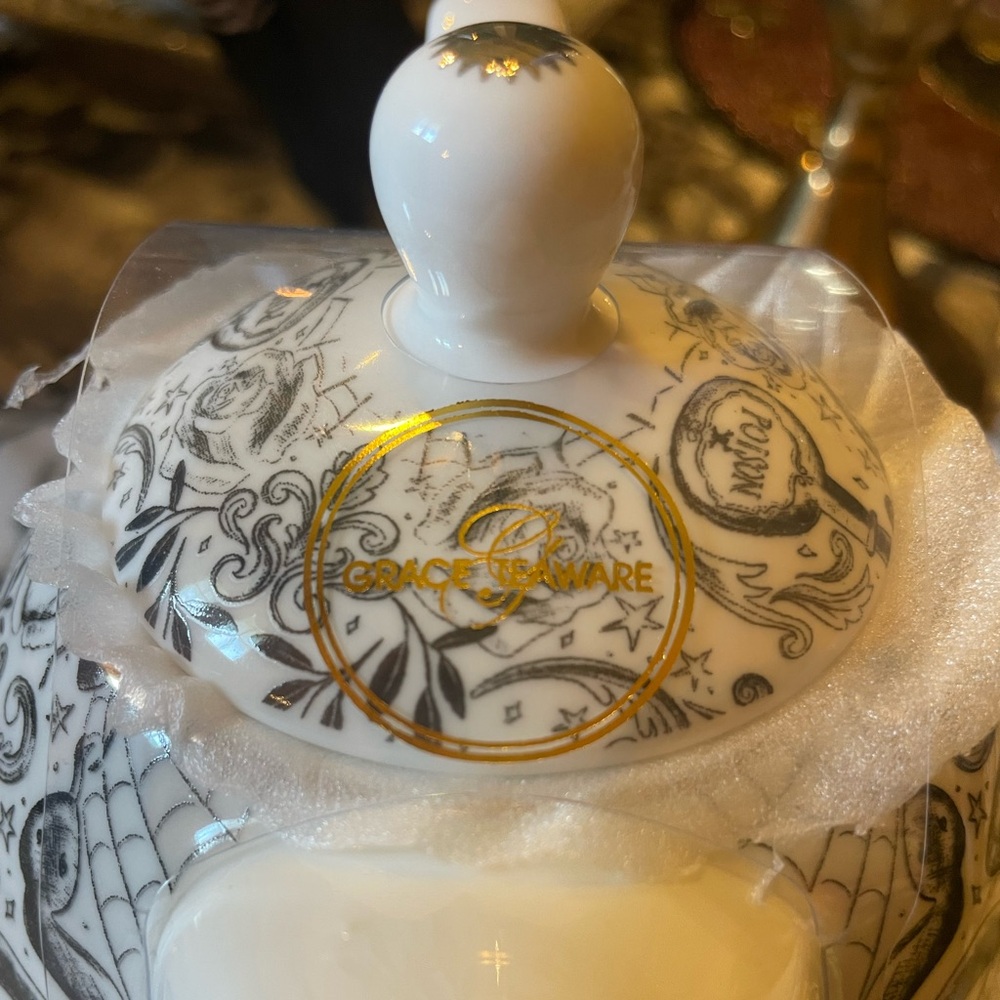 GRACE TEAWARE NEW Gothic Tea For 1 With Skulls And Moth Design Teapot/Teacup Set - Picture 13 of 16
